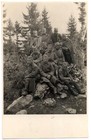 Photo Yugoslavia Artillery Trainees on Trebević Peak 1629m Sarajevo 1927