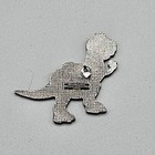 Picture 4 of 5
