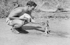WW2 Picture Photo US American soldier with a tiny cute kangaroo 1942 0422