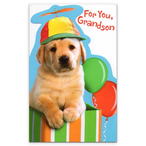Cute HAPPY BIRTHDAY Card FOR GRANDSON Puppy Hat by American Greetings + Envelope - Picture 1 of 4