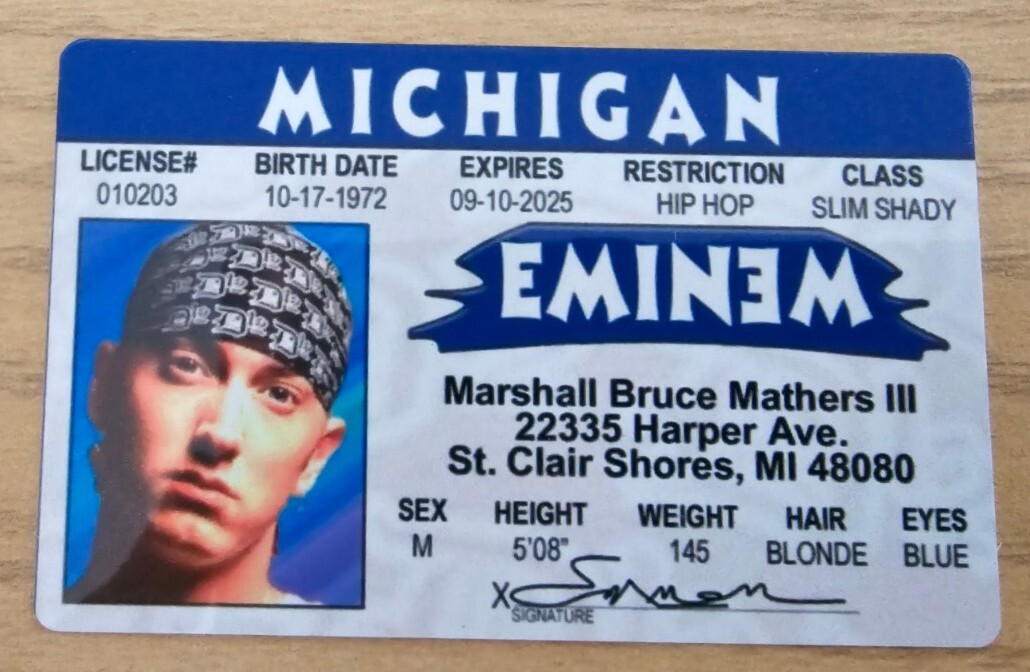 Eminem Tour 2025 poster