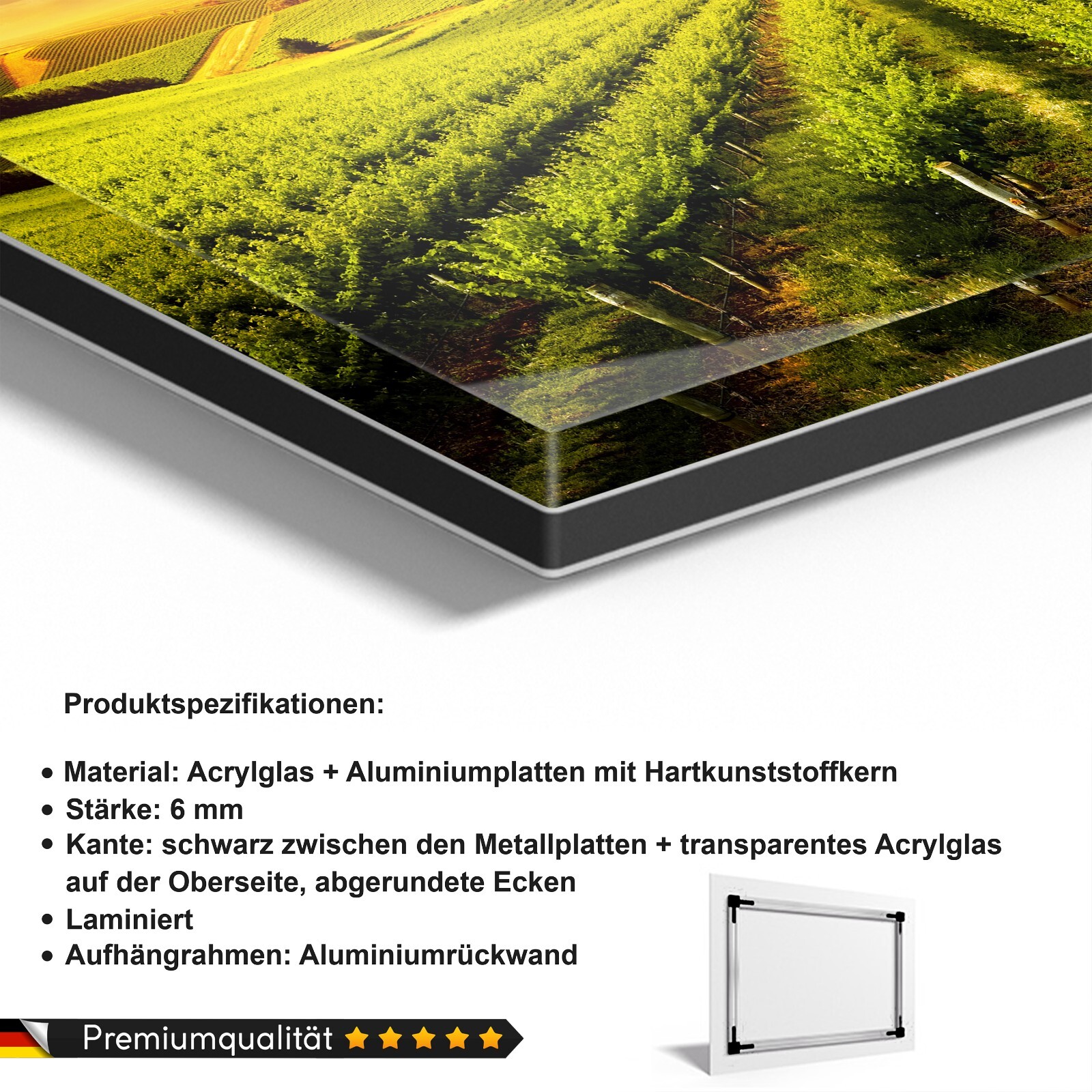 Bild 6 von 9