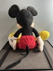 Foto 2 di 4