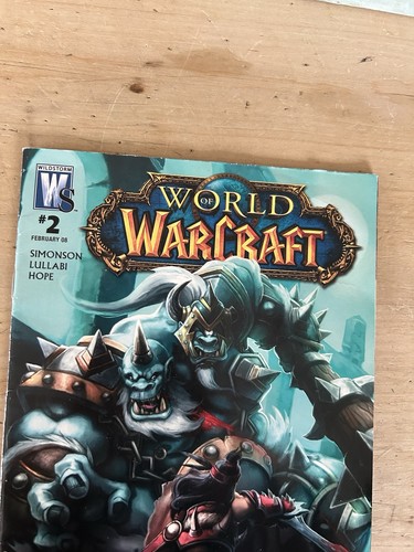 World of Warcraft # 2 (Wildstorm / DC, 2008) 1st Print Bagged & Boarded USA - Imagen 3 de 4