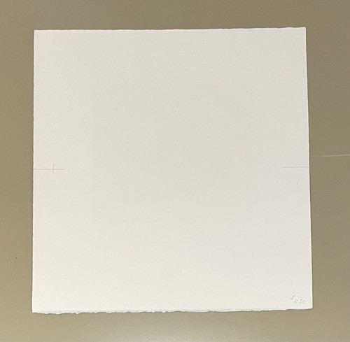 Feminist Artist Kathy Aoki Block Print on Paper Sex Slave Porn Star 2001 20/20 - Picture 5 of 5