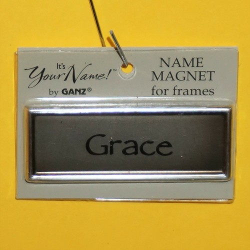 Magnets GANZ It's Your Name for Frames Choose Name Personalized Gifts Xmas Tags - Picture 72 of 184