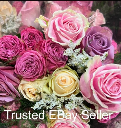 12 ROSA Kunststoff Gläser Make-up Behälter 3301 Deko Gläser USA fasst 1 Teelöffel 1/4oz - Bild 6 von 6