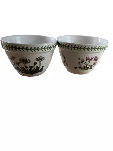 PORTMEIRION STOKE on TRENT botanic garden Bowls- Made In  England