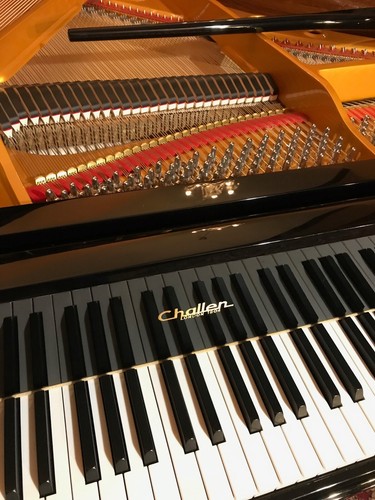 FANTASTISCHER CHALLEN Flügel Stutzflügel Grand Piano Konzertflügel Salonflügel - Bild 3 von 10