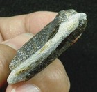 Foto 3 di 5