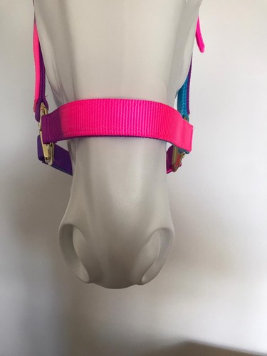 REDUCED Headcollar and Lead Rope, FULL, Aqua/ Multicoloured, FREE UK Postage - Picture 3 of 6