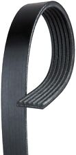 Serpentine Belt for S-Type, LS, Century, Cutlass Ciera+More K061073