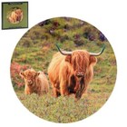 Country Highland Cow & Calf Round Ceramic Trivet Heat Resistant Durable Brown