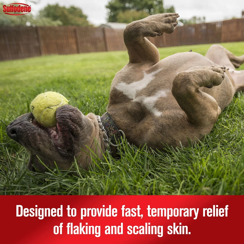 Champú acondicionador medicado para perros 12 oz alivio para piel escamosa escamosa Foto 4 de 4