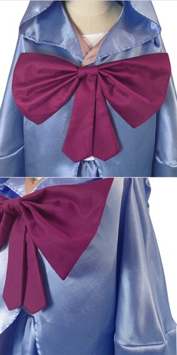 Cosplay Cinderella Fairy Godmother Dress Coat Shawl Halloween Carnival Costumes - Picture 10 of 10