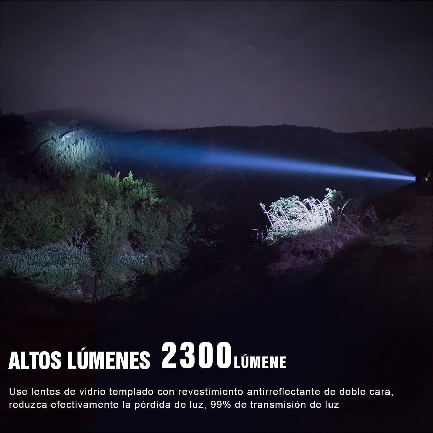 Imagen 3 de 22