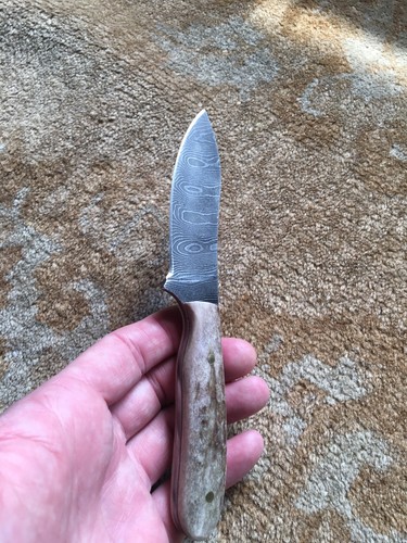 Cuchillo Damasco con mango de asta de ciervo hoja fija de ciervo plateado excelente estado - Imagen 8 de 16
