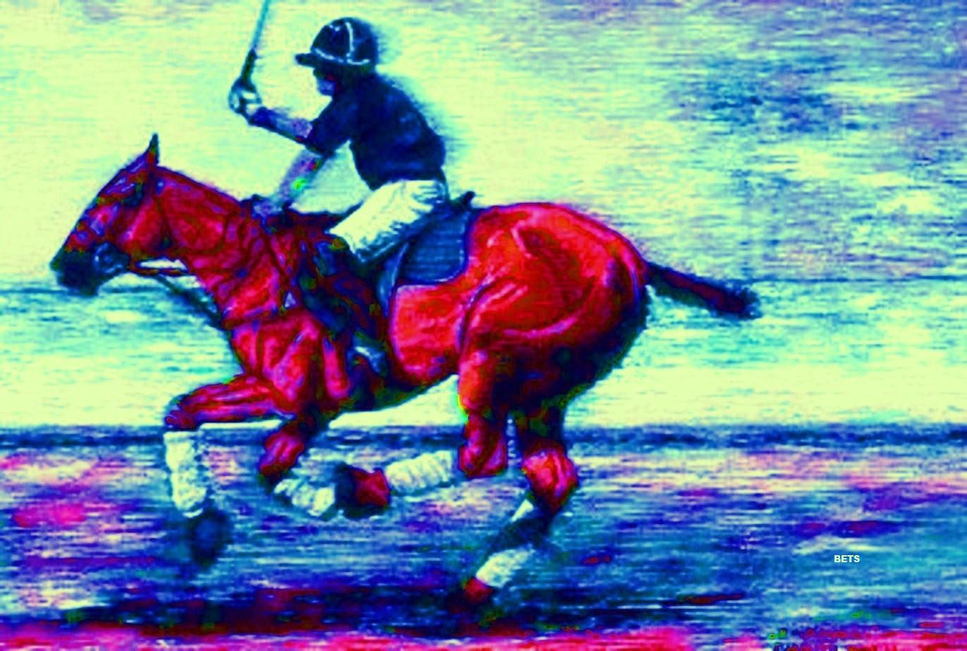 cavallo PRINT Giclee POLO DOWN THE FIELD artist BETS 6 ColoreeeS print Diuominiione 14 X 19 cavallo PRINT Giclee POLO DOWN THE FIELD artist BETS 6 ColoreeeS print Diuominiione 14 X 19