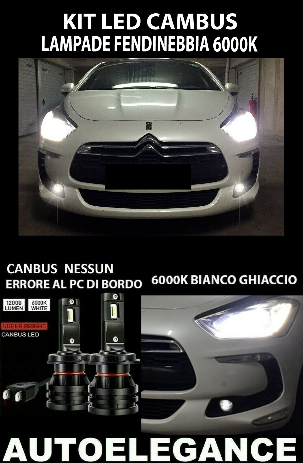 Imagen 1 de 12