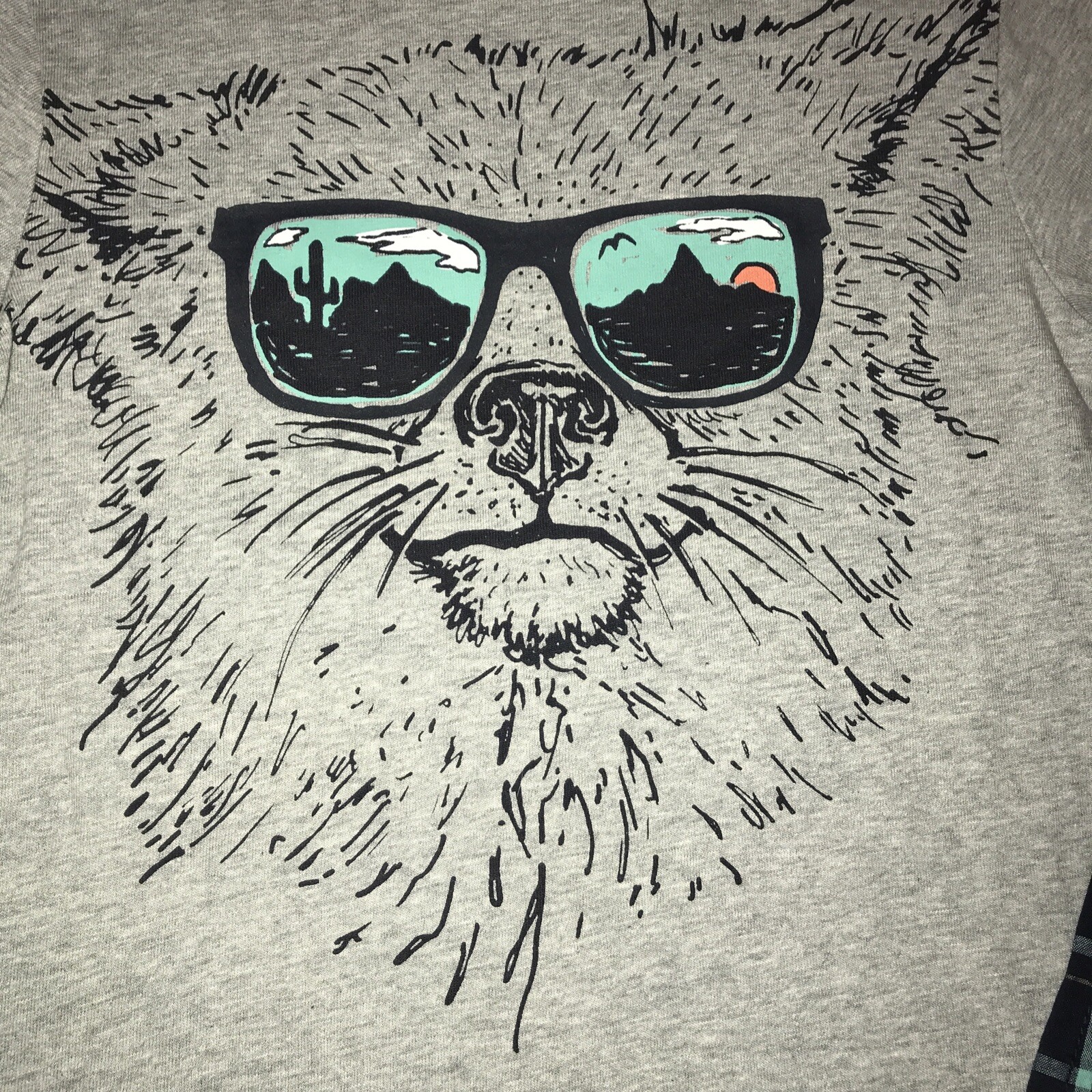 Picture 2 of 5