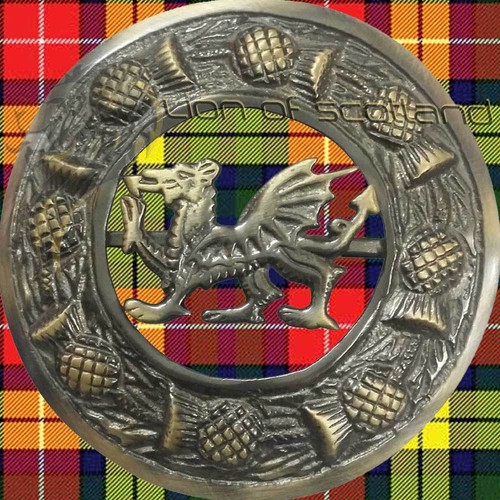 Scottish Kilt Fly Plaid Brooch Various Antique/Highland Pin Brooches Celtic 3" - Picture 6 of 10