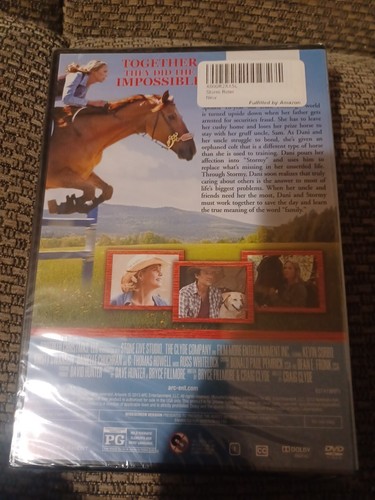 Storm Rider (DVD, 2013) New Sealed - Picture 2 of 2