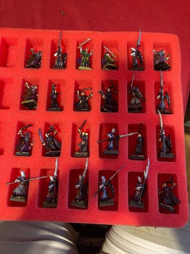 Painted Army Warhammer Fantasy Battle Dark Elf Elves Army 60 Figures with Case - Imagen 2 de 10