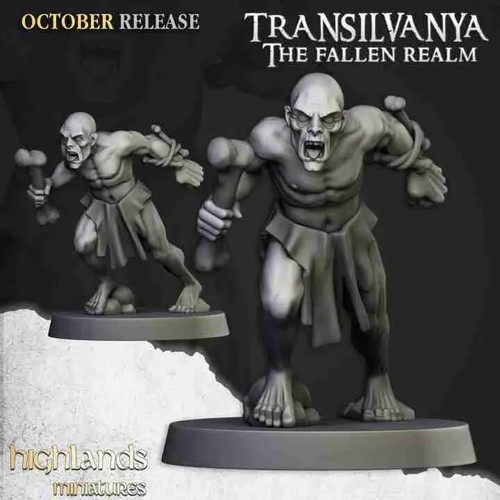 Undead Ghouls Unit 10 Figs – 28mm Highlands Miniatures–Transilvanya–Fallen Realm - Picture 10 of 10