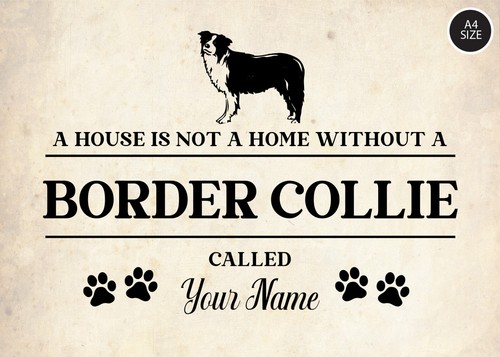 Personalised BORDER COLLIE Sign Pet Name Dog Metal Plaque - Picture 3 of 4