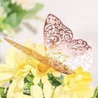 12 ROSE GOLD 3D Butterfly WALL Decals Removable DIY STICKERS Events Decorations