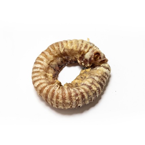 Beef Trachea Rings for Dogs High Protein Long Lasting Dental Chew Treats - Picture 1 of 5