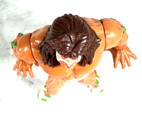WWF WRESTLING HASBRO LOTTO VARI PERSONAGGI TITAN SPORTS ANNI 90 VINTAGE - Imagen 307 de 374