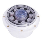 CMP P-Style RGB Gunite LED Bubbler 100 Ft Cord (25503-100-000)