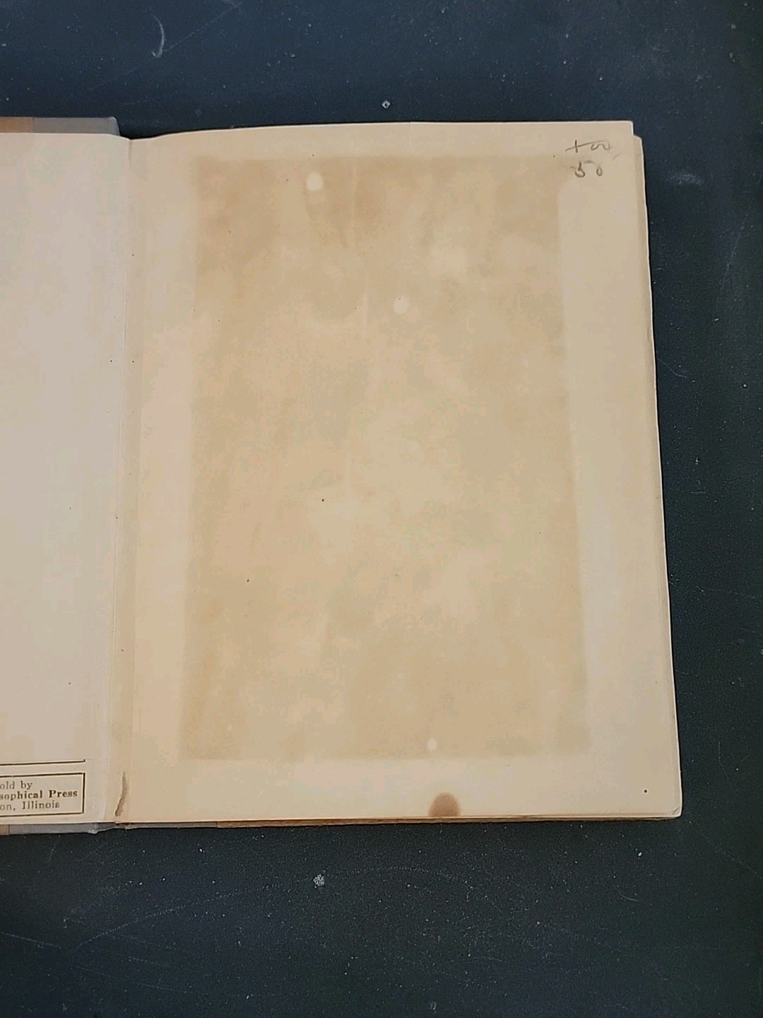 Foto 5 di 8