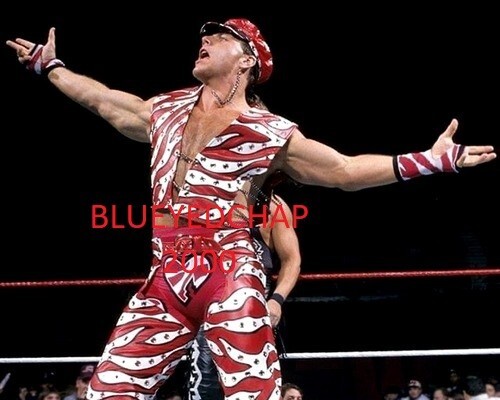 SHAWN MICHAELS WRESTLER 8 X 10 WRESTLING PHOTO WWF - Picture 1 of 1