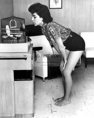 Funicello tits annette Annette Funicello Funicello tits annette 10 Famous