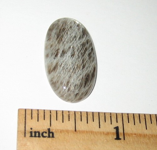 27x15mm RARO PULIDO ""PIEDRA DE SELLO"" PIEDRA LUNAR NATURAL CABUJÓN GROENLANDIA ~ 3g *2 - Imagen 4 de 7