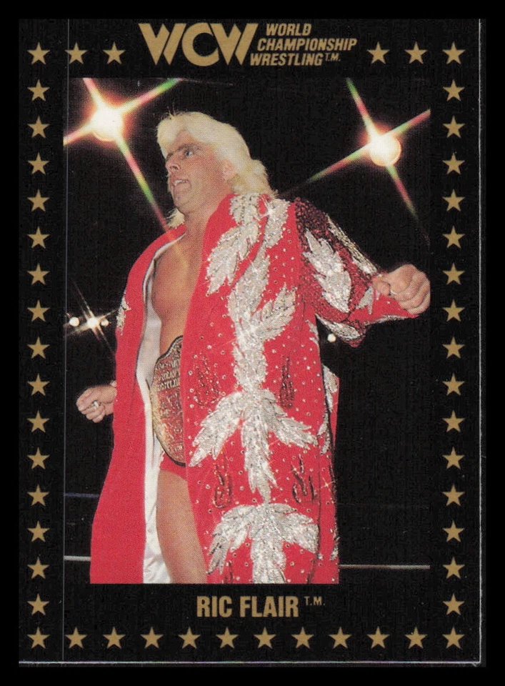 1991 Championship Marketing WCW World Championship Wrestling Cards Pick Choose - Image 2 of 4