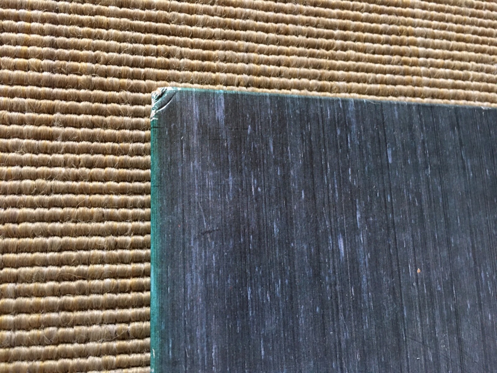 Picture 4 of 14