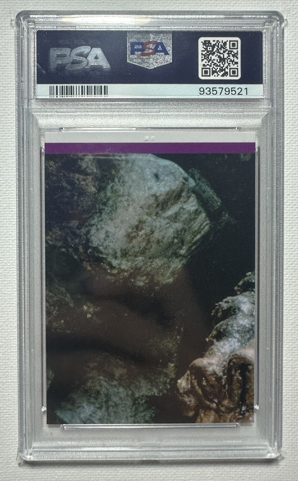 Picture 3 of 3