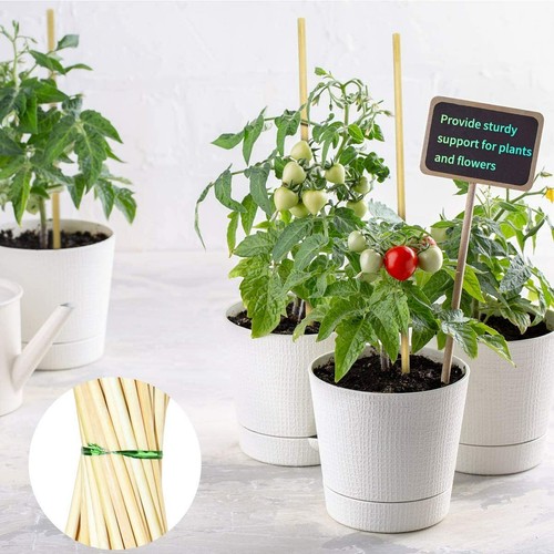 50 Pack 15 Inch Bamboo Plant Stakes, Plant Sticks Support, Floral Plant Support - Picture 2 of 6