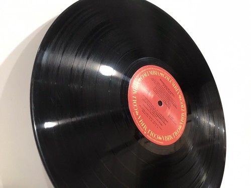 BIBI GAYTAN SASHA RICKY MARTIN Muñecos De Papel LP (NM+) - Picture 10 of 13