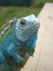Bild 5 von 6