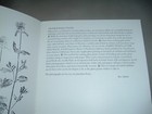 Foto 2 di 3