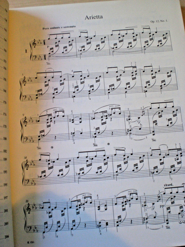 alte Noten Edvard Grieg Lyrische Stücke für Klavier Könemann Budapest Urtext - Bild 5 von 5