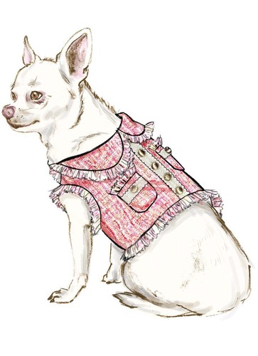Simplicity Sewing Pattern S9970a Dog Coats size xxs-m - Picture 2 of 6