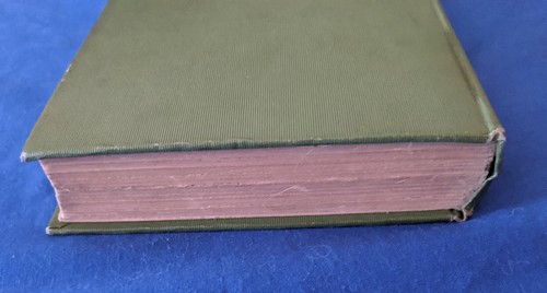 Da Tenderfoot a Scout, Anna C. Ruddy, 1911 Libro Boy Scouts - Foto 8 di 10