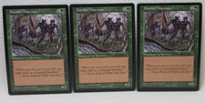 PANTHER WARRIORS X3 MAGIC THE GATHERING VISIONS VINTAGE MTG CARD #384