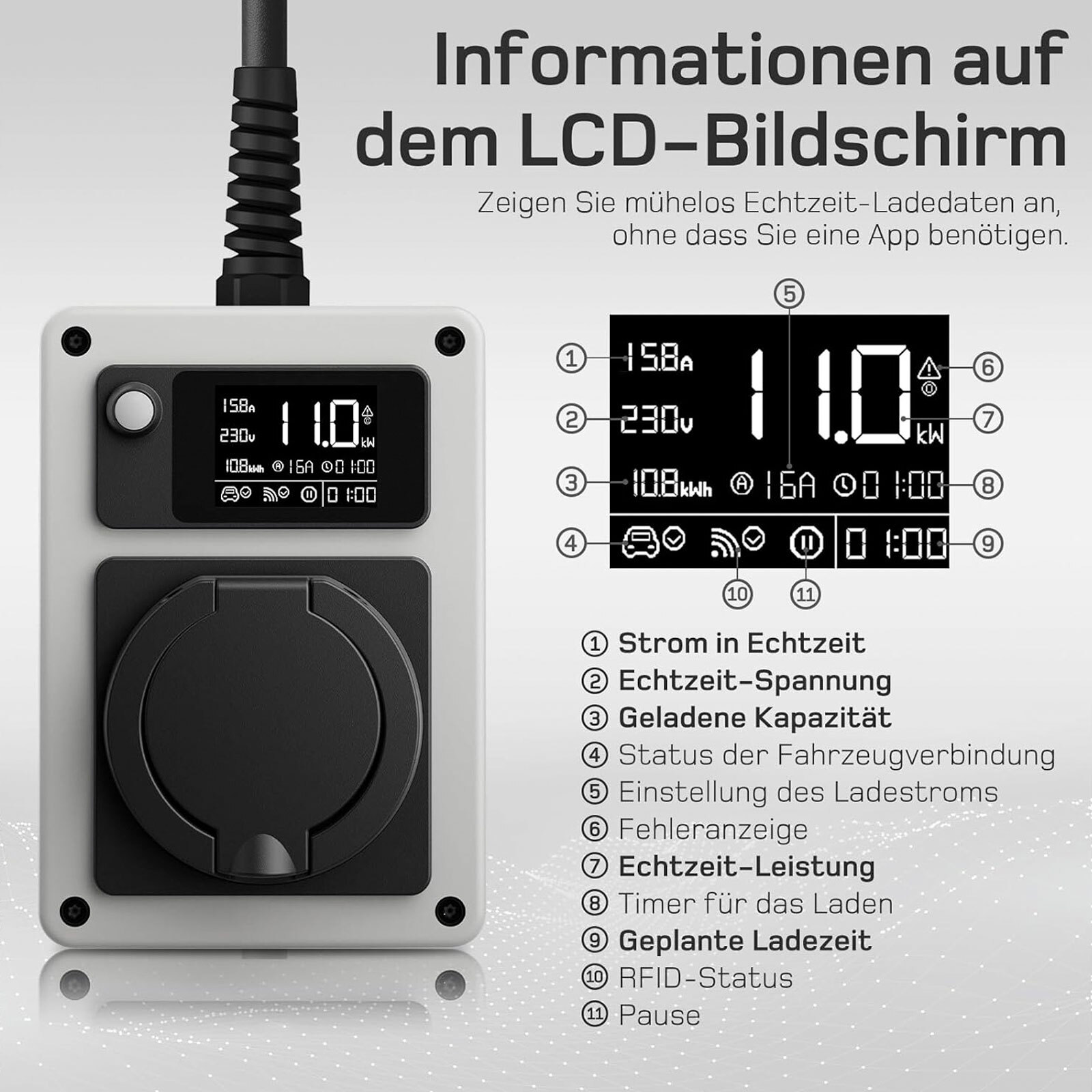 Bild 6 von 12