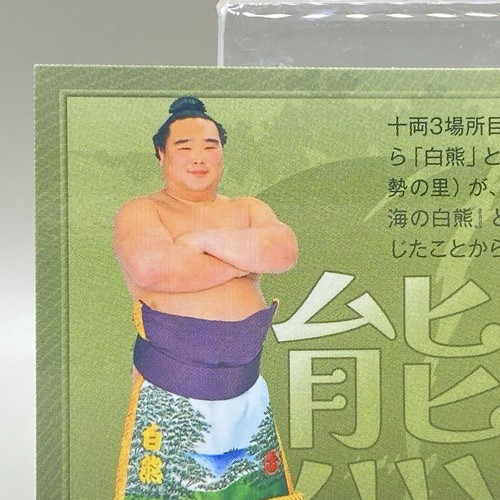 BBM Sumo Wrestling Card Yuta Shirokuma Bear 2024 Japan Japanese Rare F/S - Picture 8 of 12